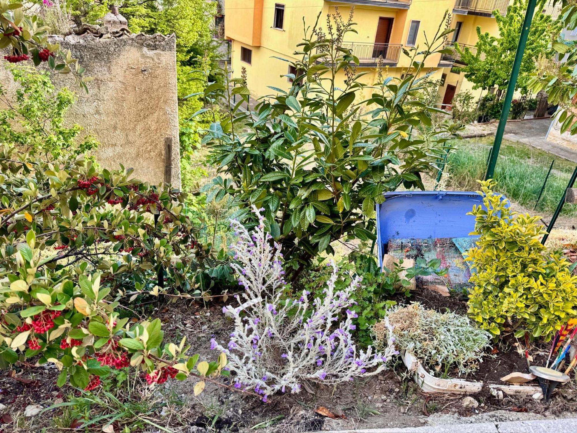 La Casa Dell'Artista Di Vittorio Vertone Pietragalla Eksteriør billede